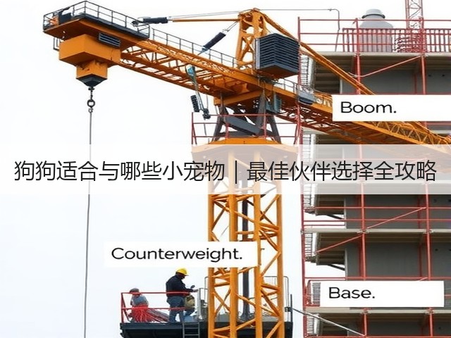 狗狗适合与哪些小宠物|最佳伙伴选择全攻略(图2) 狗狗适合与哪些小宠物|最佳伙伴选择全攻略(图2)
