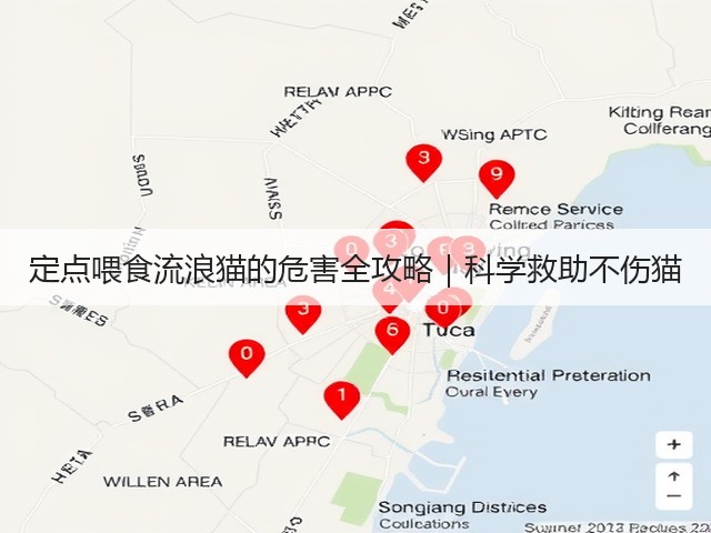 定点喂食流浪猫的危害全攻略|科学救助不伤猫(图1) 定点喂食流浪猫的危害全攻略|科学救助不伤猫(图1)