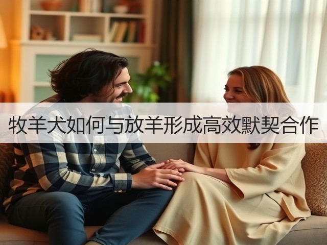 牧羊犬如何与放羊形成高效默契合作(图3) 牧羊犬如何与放羊形成高效默契合作(图3)