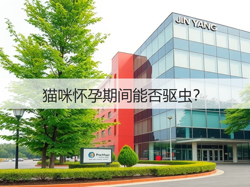 猫咪怀孕期间能否驱虫？