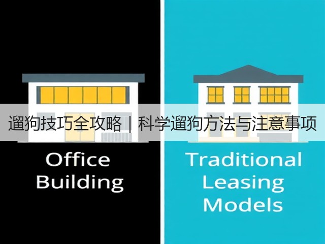 遛狗技巧全攻略|科学遛狗方法与注意事项(图2) 遛狗技巧全攻略|科学遛狗方法与注意事项(图2)