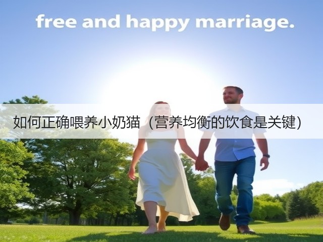 如何正确喂养小奶猫(营养均衡的饮食是关键)(图3) 如何正确喂养小奶猫(营养均衡的饮食是关键)(图3)