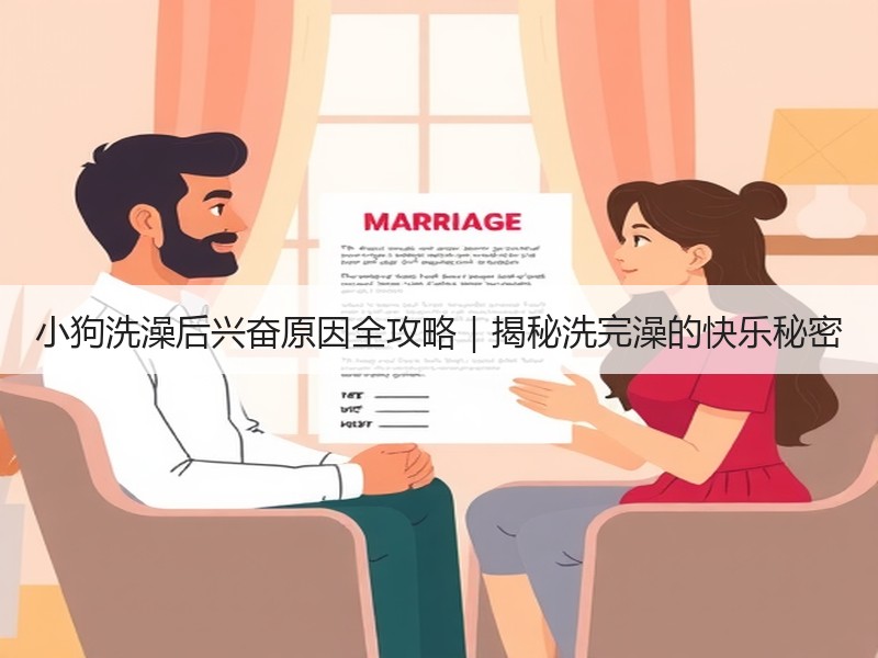 小狗洗澡后兴奋原因全攻略｜揭秘洗完澡的快乐秘密