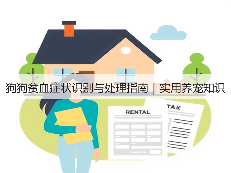 狗狗贫血症状识别与处理指南｜实用养宠知识