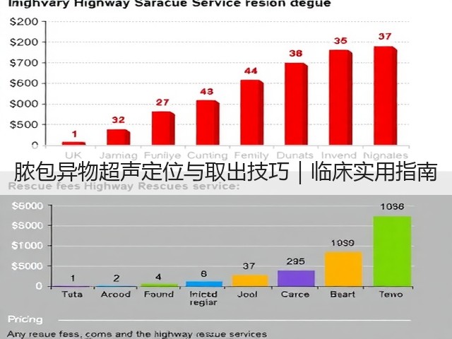 脓包异物超声定位与取出技巧|临床实用指南(图1) 脓包异物超声定位与取出技巧|临床实用指南(图1)
