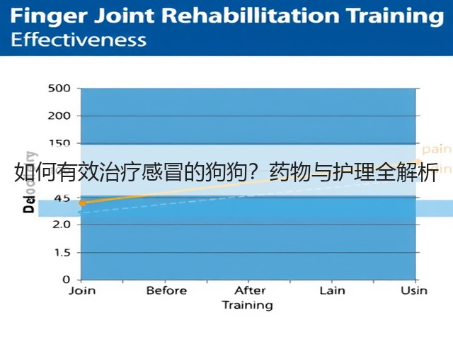 如何有效治疗感冒的狗狗?药物与护理全解析(图3) 如何有效治疗感冒的狗狗?药物与护理全解析(图3)