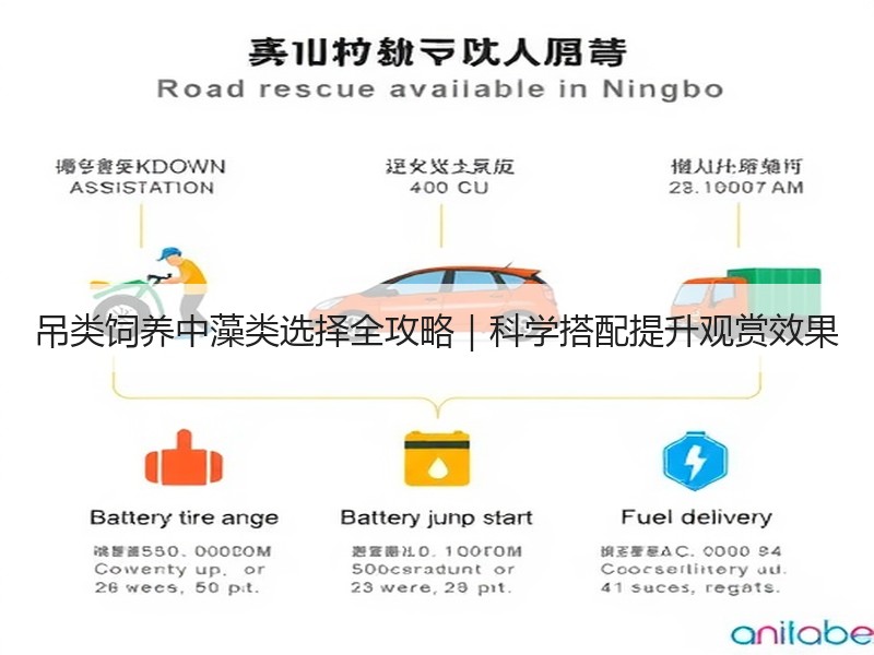吊类饲养中藻类选择全攻略｜科学搭配提升观赏效果
