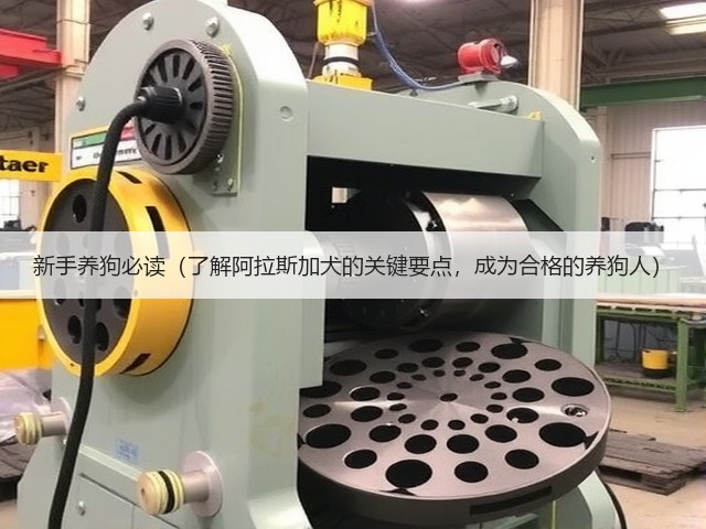 新手养狗必读(了解阿拉斯加犬的关键要点,成为合格的养狗人)(图1) 新手养狗必读(了解阿拉斯加犬的关键要点,成为合格的养狗人)(图1)
