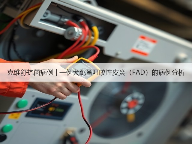 克维舒抗菌病例 | 一例犬跳蚤叮咬性皮炎(FAD)的病例分析(图3) 克维舒抗菌病例 | 一例犬跳蚤叮咬性皮炎(FAD)的病例分析(图3)