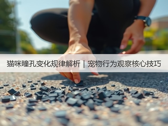 猫咪瞳孔变化规律解析｜宠物行为观察核心技巧(图2)