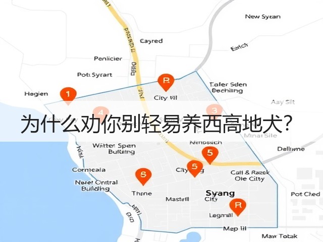 为什么劝你别轻易养西高地犬?(图1) 为什么劝你别轻易养西高地犬?(图1)