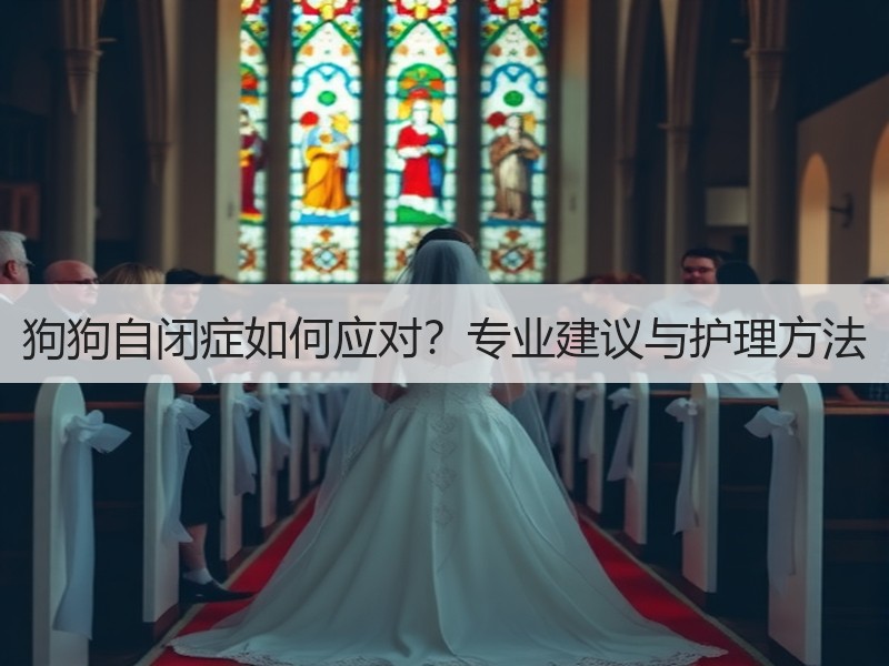 狗狗自闭症如何应对？专业建议与护理方法