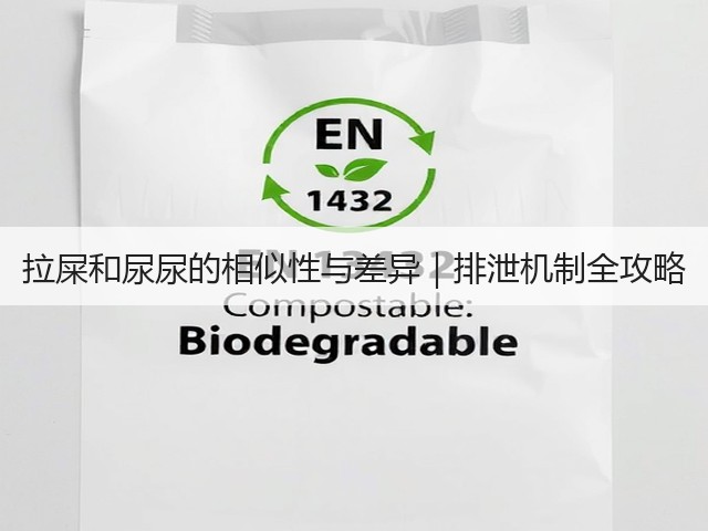 拉屎和尿尿的相似性与差异|排泄机制全攻略(图3) 拉屎和尿尿的相似性与差异|排泄机制全攻略(图3)