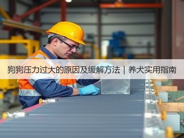 狗狗压力过大的原因及缓解方法|养犬实用指南(图3) 狗狗压力过大的原因及缓解方法|养犬实用指南(图3)
