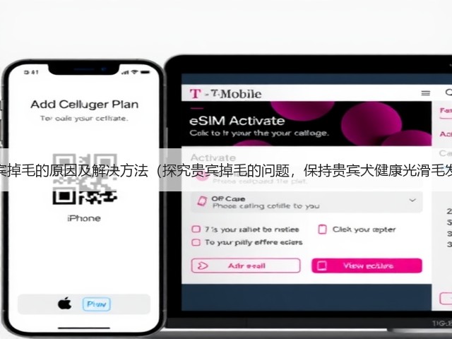 贵宾掉毛的原因及解决方法(探究贵宾掉毛的问题,保持贵宾犬健康光滑毛发)(图1) 贵宾掉毛的原因及解决方法(探究贵宾掉毛的问题,保持贵宾犬健康光滑毛发)(图1)