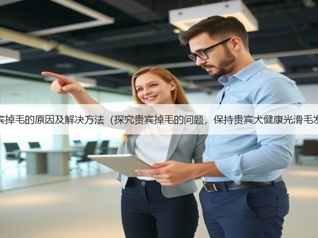 贵宾掉毛的原因及解决方法(探究贵宾掉毛的问题,保持贵宾犬健康光滑毛发)(图2) 贵宾掉毛的原因及解决方法(探究贵宾掉毛的问题,保持贵宾犬健康光滑毛发)(图2)