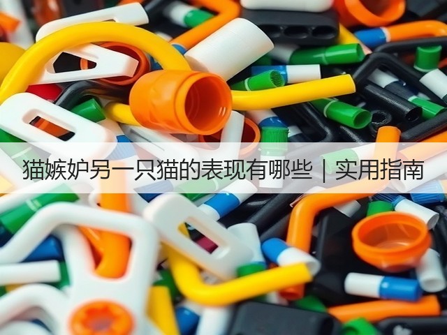 猫嫉妒另一只猫的表现有哪些|实用指南(图3) 猫嫉妒另一只猫的表现有哪些|实用指南(图3)