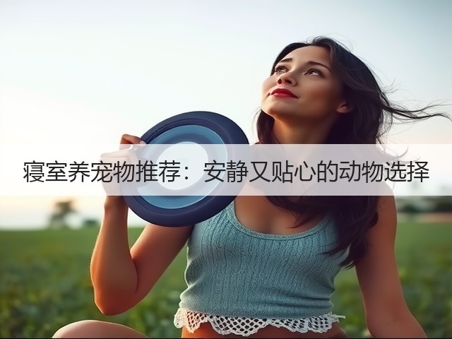 寝室养宠物推荐:安静又贴心的动物选择(图2) 寝室养宠物推荐:安静又贴心的动物选择(图2)