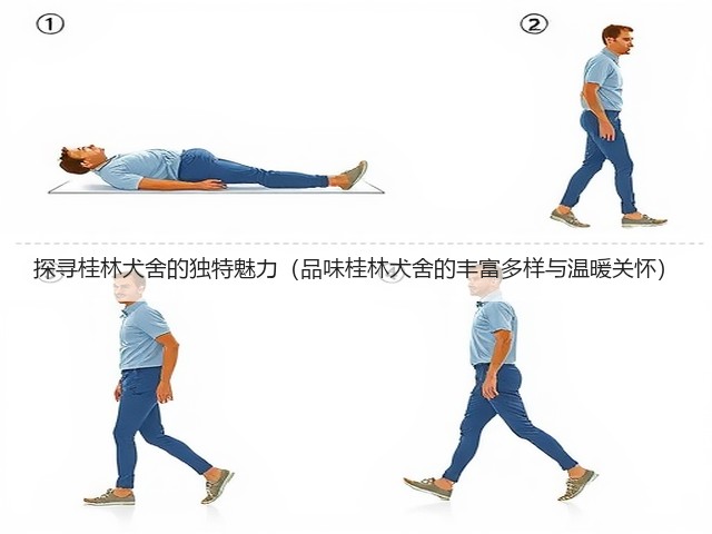 探寻桂林犬舍的独特魅力(品味桂林犬舍的丰富多样与温暖关怀)(图2) 探寻桂林犬舍的独特魅力(品味桂林犬舍的丰富多样与温暖关怀)(图2)