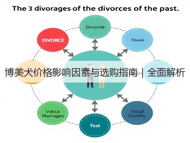 博美犬价格影响因素与选购指南|全面解析(图2) 博美犬价格影响因素与选购指南|全面解析(图2)