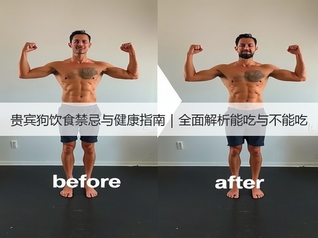 贵宾狗饮食禁忌与健康指南|全面解析能吃与不能吃(图1) 贵宾狗饮食禁忌与健康指南|全面解析能吃与不能吃(图1)