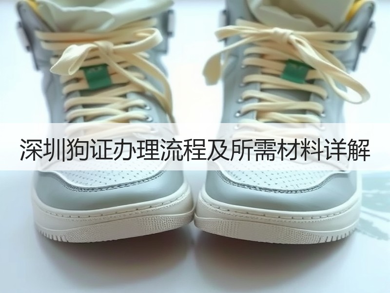深圳狗证办理流程及所需材料详解