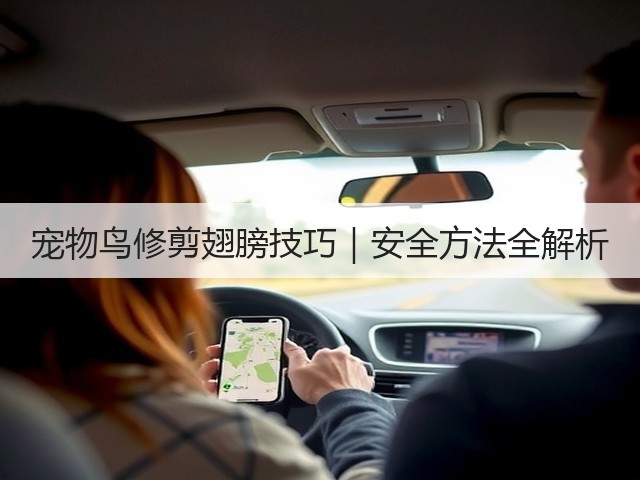 宠物鸟修剪翅膀技巧|安全方法全解析(图3) 宠物鸟修剪翅膀技巧|安全方法全解析(图3)