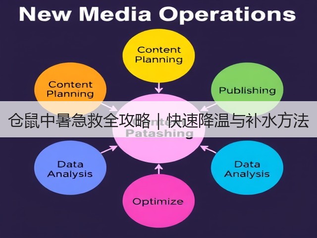仓鼠中暑急救全攻略|快速降温与补水方法(图3) 仓鼠中暑急救全攻略|快速降温与补水方法(图3)