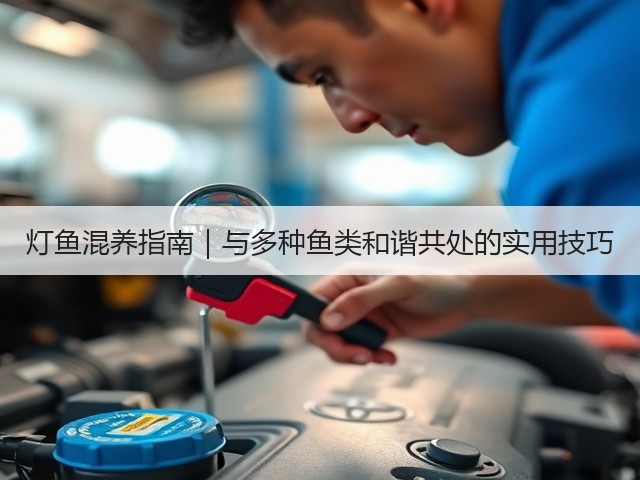 灯鱼混养指南|与多种鱼类和谐共处的实用技巧(图2) 灯鱼混养指南|与多种鱼类和谐共处的实用技巧(图2)