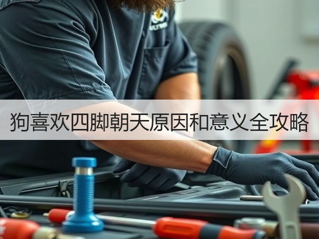 狗喜欢四脚朝天原因和意义全攻略(图3) 狗喜欢四脚朝天原因和意义全攻略(图3)