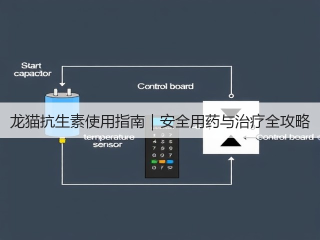 龙猫抗生素使用指南|安全用药与治疗全攻略(图3) 龙猫抗生素使用指南|安全用药与治疗全攻略(图3)