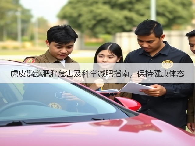 虎皮鹦鹉肥胖危害及科学减肥指南,保持健康体态(图3) 虎皮鹦鹉肥胖危害及科学减肥指南,保持健康体态(图3)