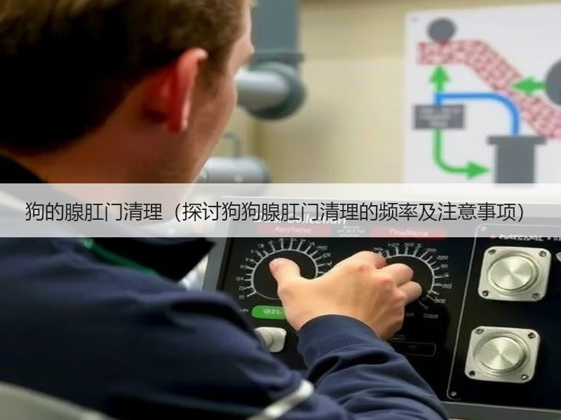 狗的腺肛门清理（探讨狗狗腺肛门清理的频率及注意事项）