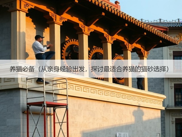 养猫必备(从亲身经验出发,探讨最适合养猫的猫砂选择)(图1) 养猫必备(从亲身经验出发,探讨最适合养猫的猫砂选择)(图1)