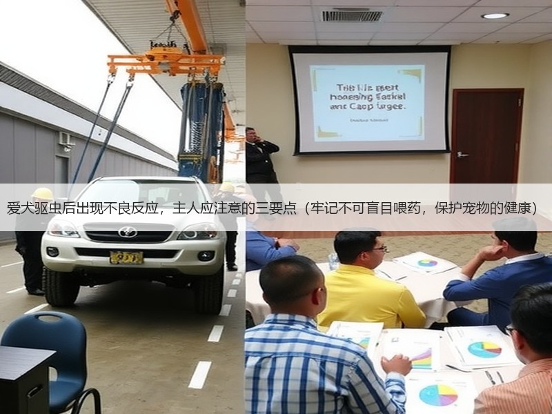 爱犬驱虫后出现不良反应，主人应注意的三要点（牢记不可盲目喂药，保护宠物的健康）