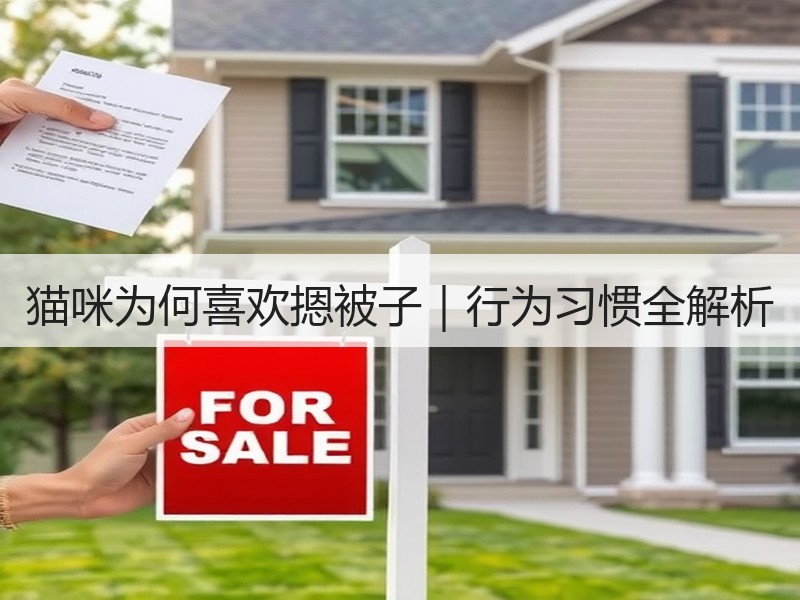 猫咪为何喜欢摁被子｜行为习惯全解析