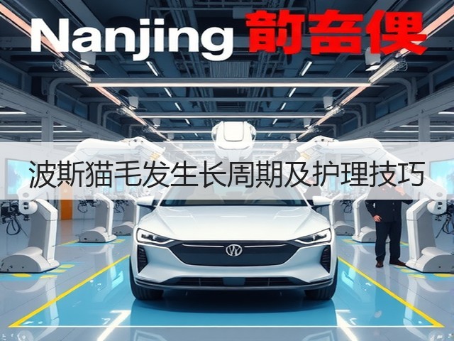 波斯猫毛发生长周期及护理技巧(图1)