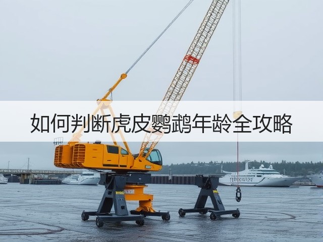 如何判断虎皮鹦鹉年龄全攻略(图2) 如何判断虎皮鹦鹉年龄全攻略(图2)