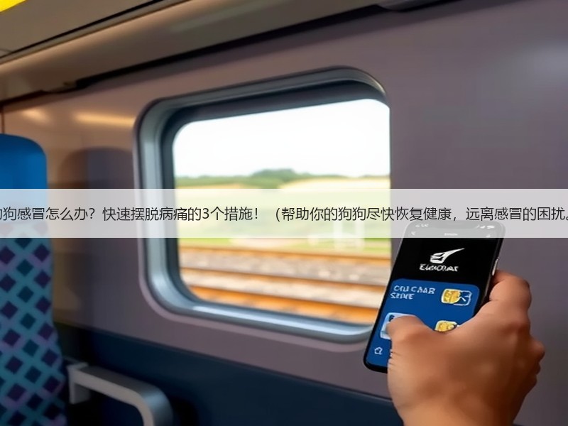 宠物狗感冒怎么办？快速摆脱病痛的3个措施！（帮助你的狗狗尽快恢复健康，远离感冒的