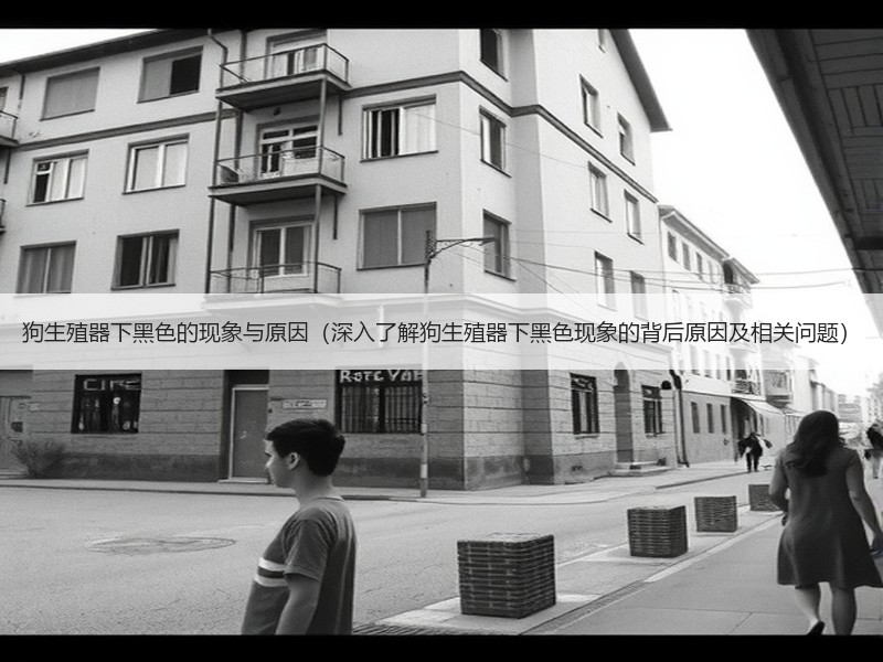 狗生殖器下黑色的现象与原因（深入了解狗生殖器下黑色现象的背后原因及相关问题）