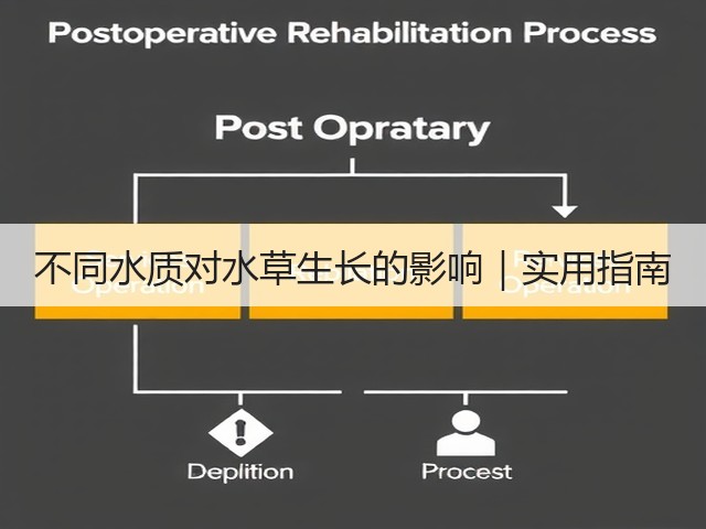 不同水质对水草生长的影响|实用指南(图1) 不同水质对水草生长的影响|实用指南(图1)
