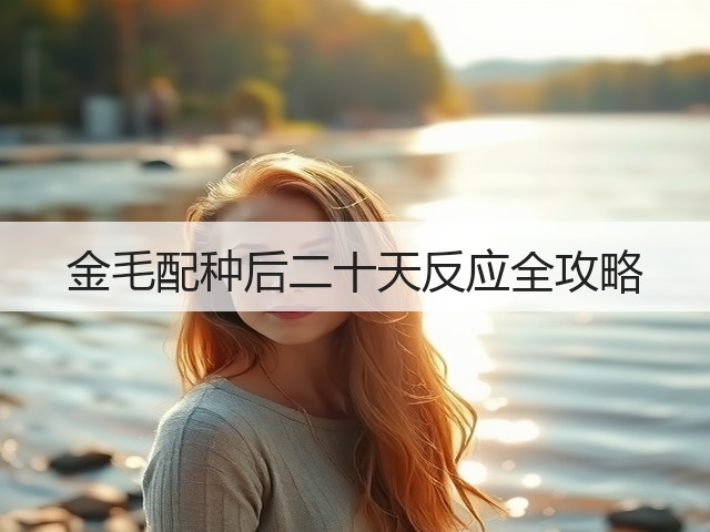 金毛配种后二十天反应全攻略(图1) 金毛配种后二十天反应全攻略(图1)