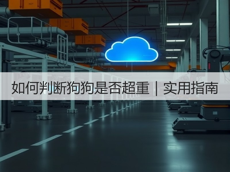 如何判断狗狗是否超重｜实用指南