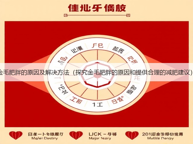 金毛肥胖的原因及解决方法(探究金毛肥胖的原因和提供合理的减肥建议)(图2) 金毛肥胖的原因及解决方法(探究金毛肥胖的原因和提供合理的减肥建议)(图2)