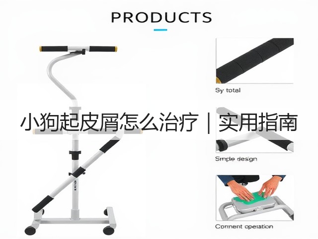 小狗起皮屑怎么治疗|实用指南(图1) 小狗起皮屑怎么治疗|实用指南(图1)