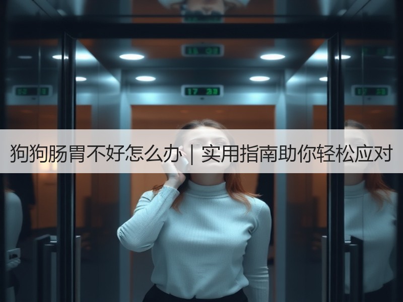 狗狗肠胃不好怎么办｜实用指南助你轻松应对