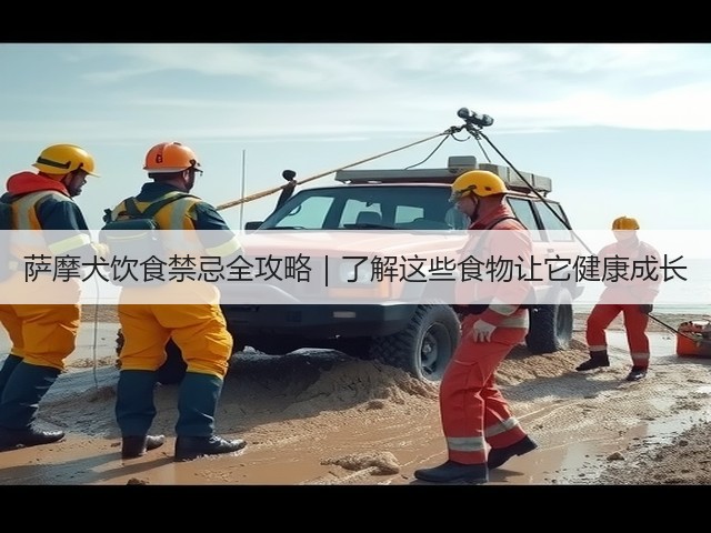 萨摩犬饮食禁忌全攻略|了解这些食物让它健康成长(图2) 萨摩犬饮食禁忌全攻略|了解这些食物让它健康成长(图2)