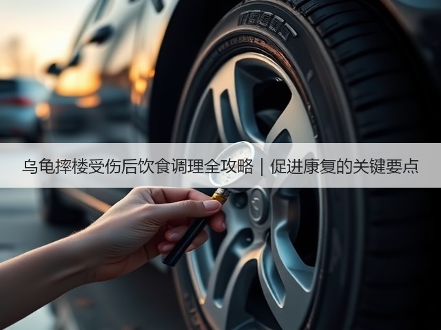 乌龟摔楼受伤后饮食调理全攻略｜促进康复的关键要点(图2)