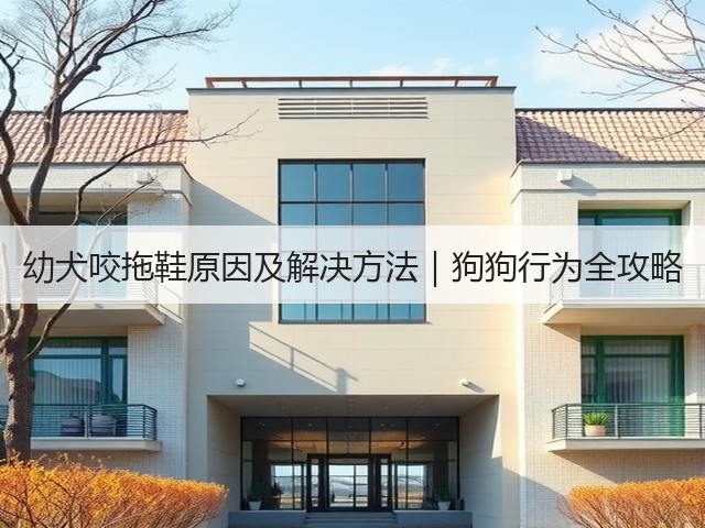 幼犬咬拖鞋原因及解决方法|狗狗行为全攻略(图2) 幼犬咬拖鞋原因及解决方法|狗狗行为全攻略(图2)