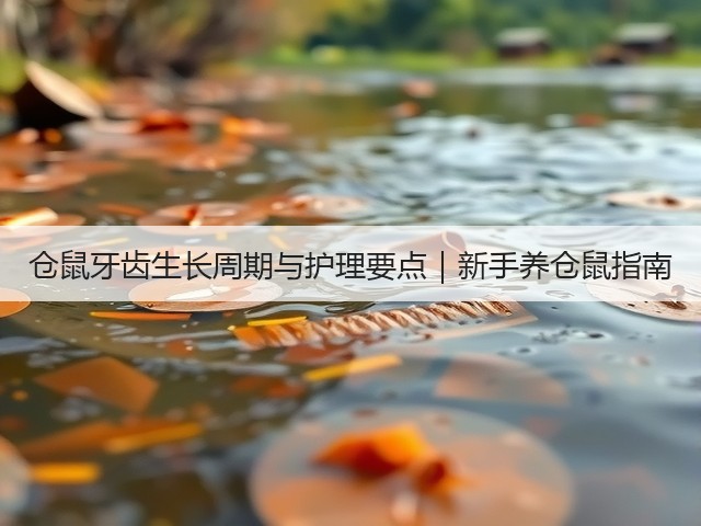 仓鼠牙齿生长周期与护理要点｜新手养仓鼠指南(图3)